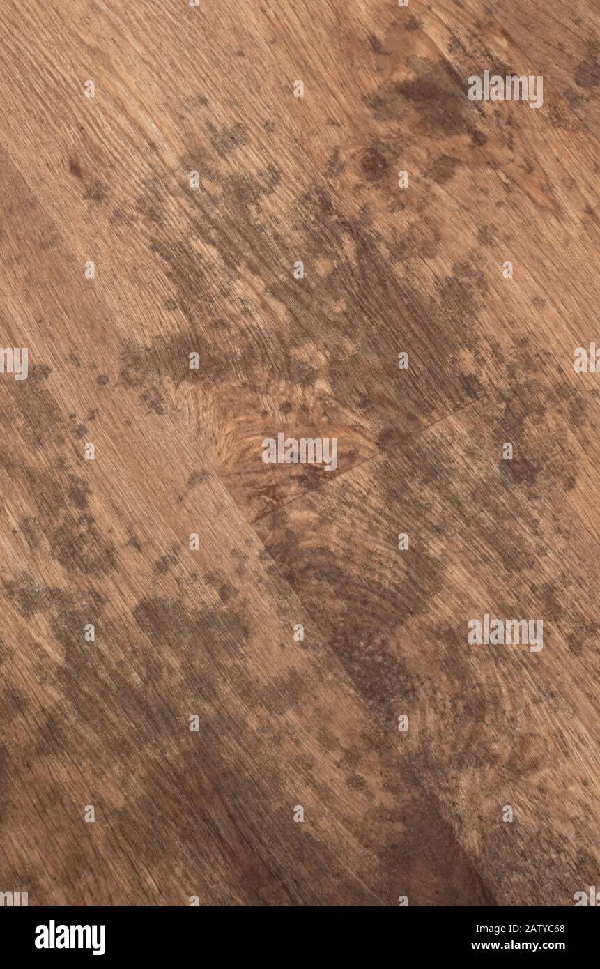 Pièces Humides Sur Un Sol En Vinyle Texturé À Effet De Bois De Hêtre Banque D'Images