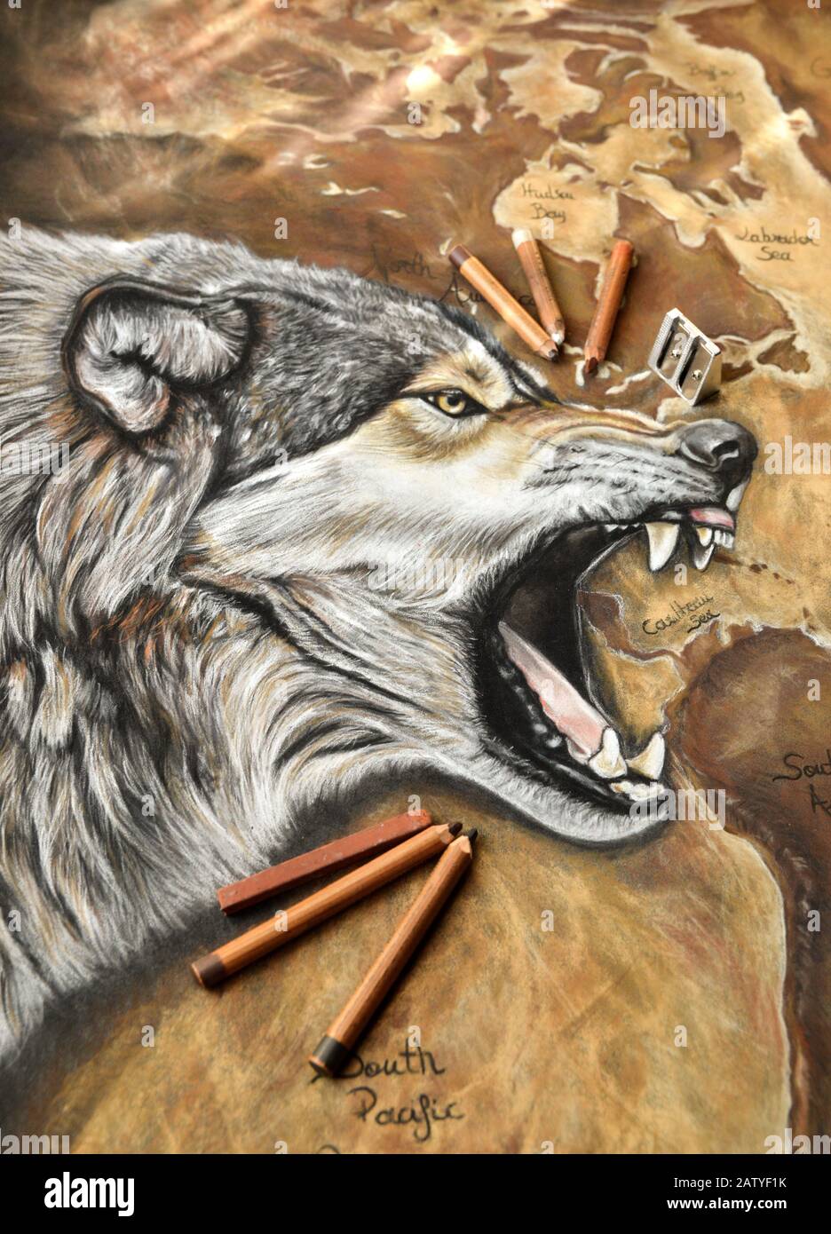 Magnifique peinture d'art animal avec un loup agressif Banque D'Images