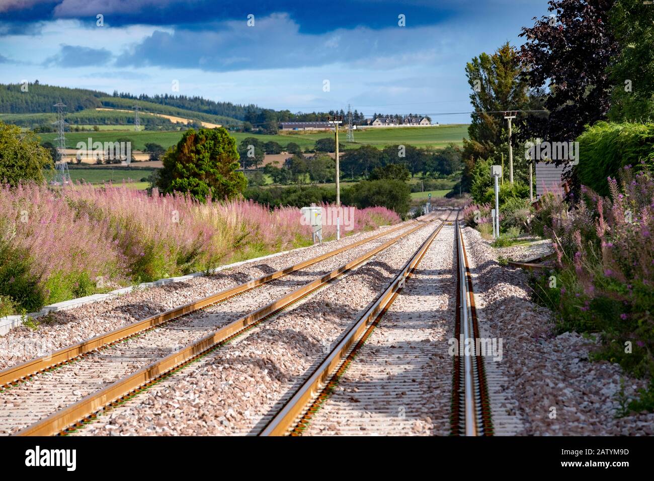 Rails de train Banque D'Images