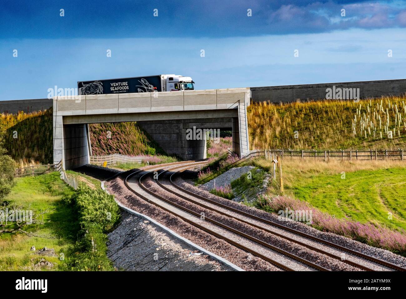 Rails de train Banque D'Images