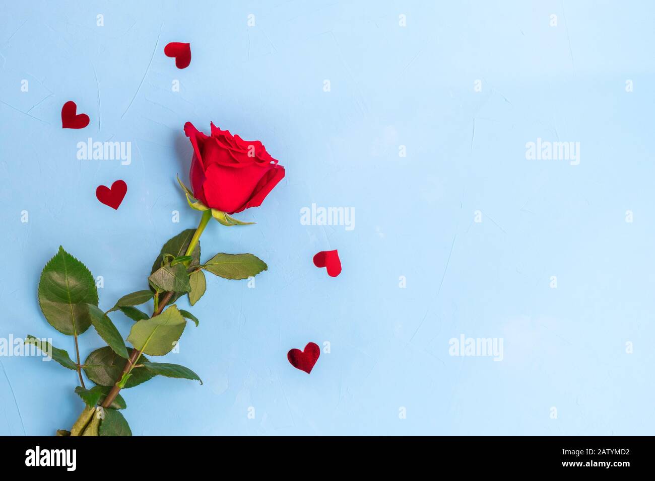 Vue de dessus de la rose rouge et des confettis de coeur sur fond bleu. Image avec espace de copie, plat. Banque D'Images