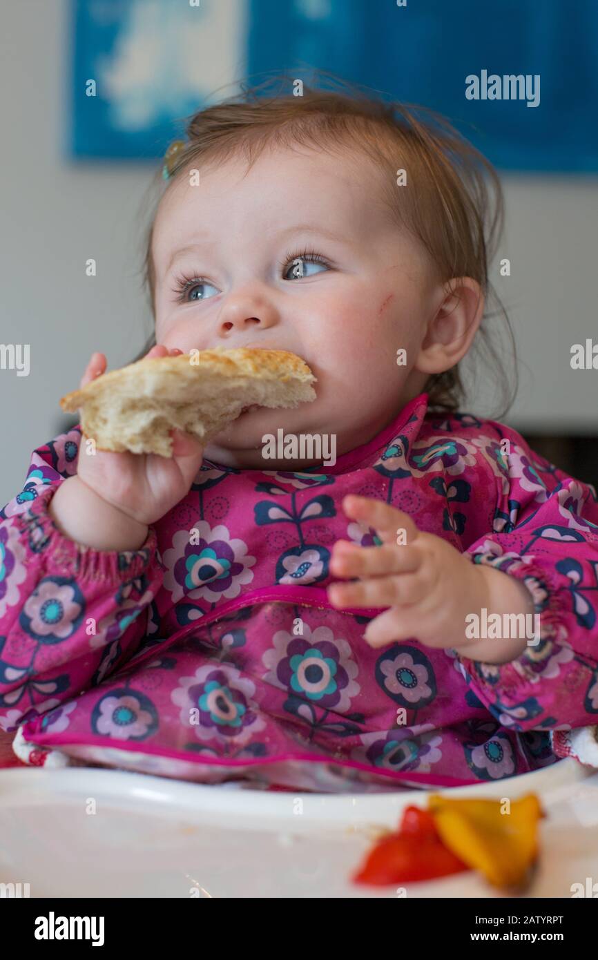 Bebe Fille De 6 Mois Bebe Led Sevrage Photo Stock Alamy Bebe Fille De 6 Mois Bebe Led Sevrage Photo Stock Alamy