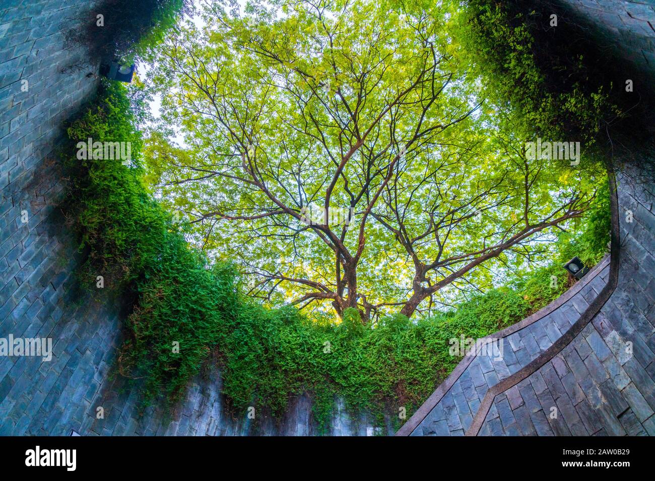 Fort Canning Park Sur Fort Canning Hill, Singapour. Banque D'Images