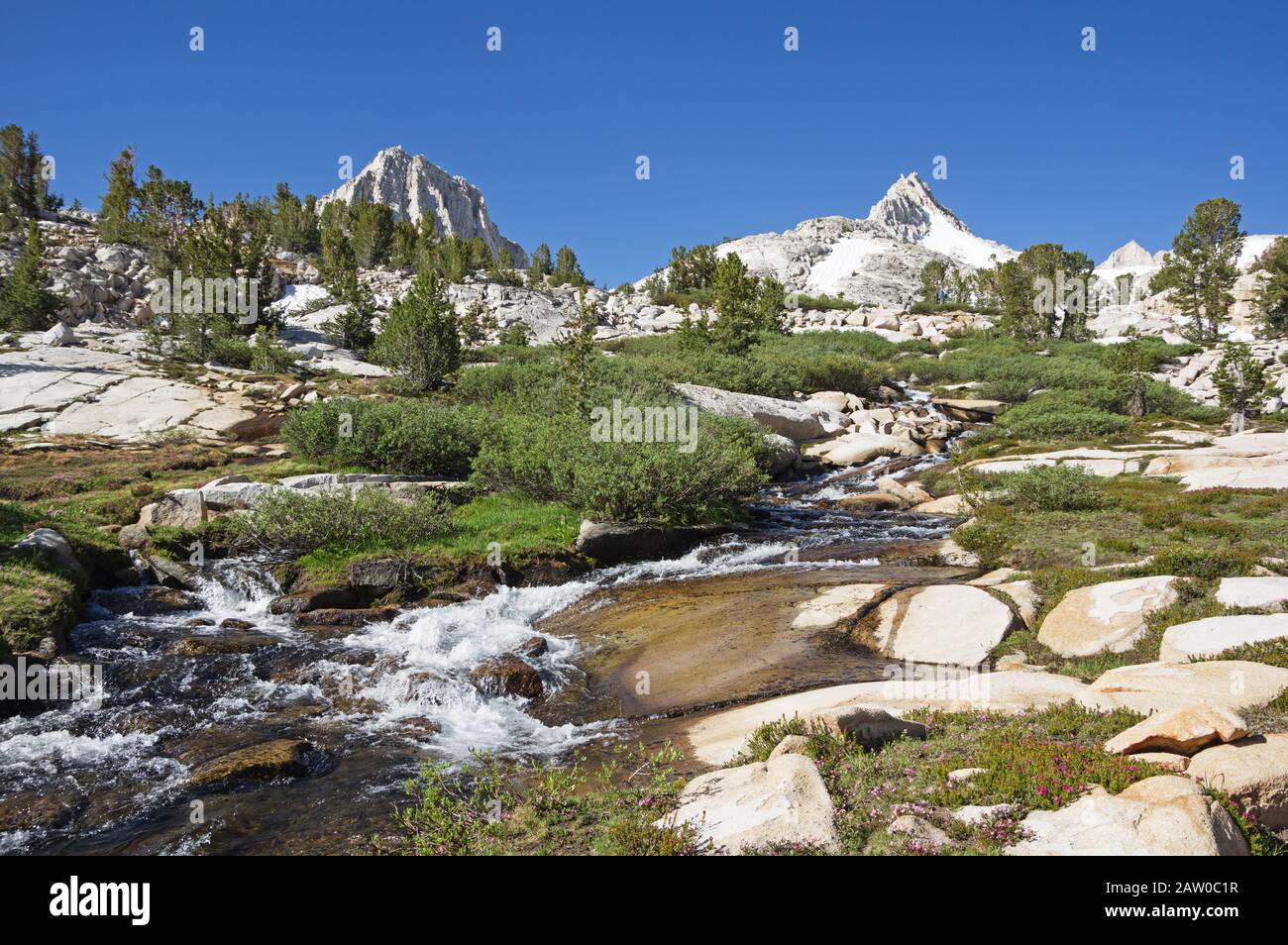Cours d'eau dans les montagnes de la Sierra Nevada qui s'écoulent du parc Granite Banque D'Images