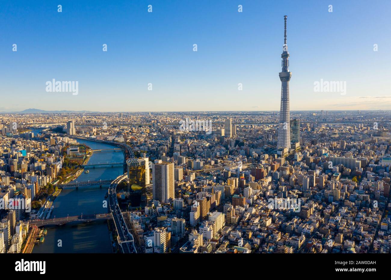 Vue Aérienne Lever Du Soleil De Tokyo City Skyline, Japon Banque D'Images