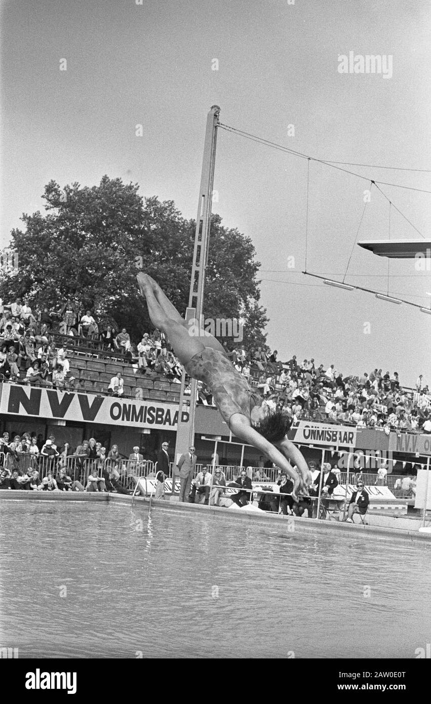 Championnats nationaux de natation à Utrecht. Plongée Date: 29 Juillet 1972 Lieu: Utrecht (Ville) Mots Clés: Plongée Banque D'Images