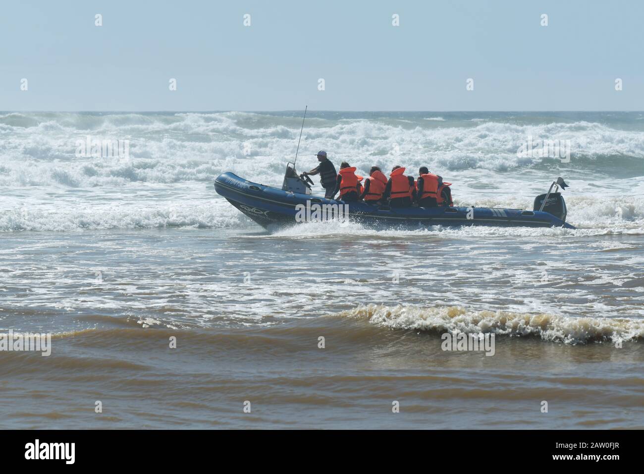 KwaZulu-Natal, Afrique du Sud, les gens, skipper de BATEAU à moteur CÔTELÉ prenant des plongeurs pour plonger au récif Aliwal Shoal, bateau, passagers, transport, aventure Banque D'Images