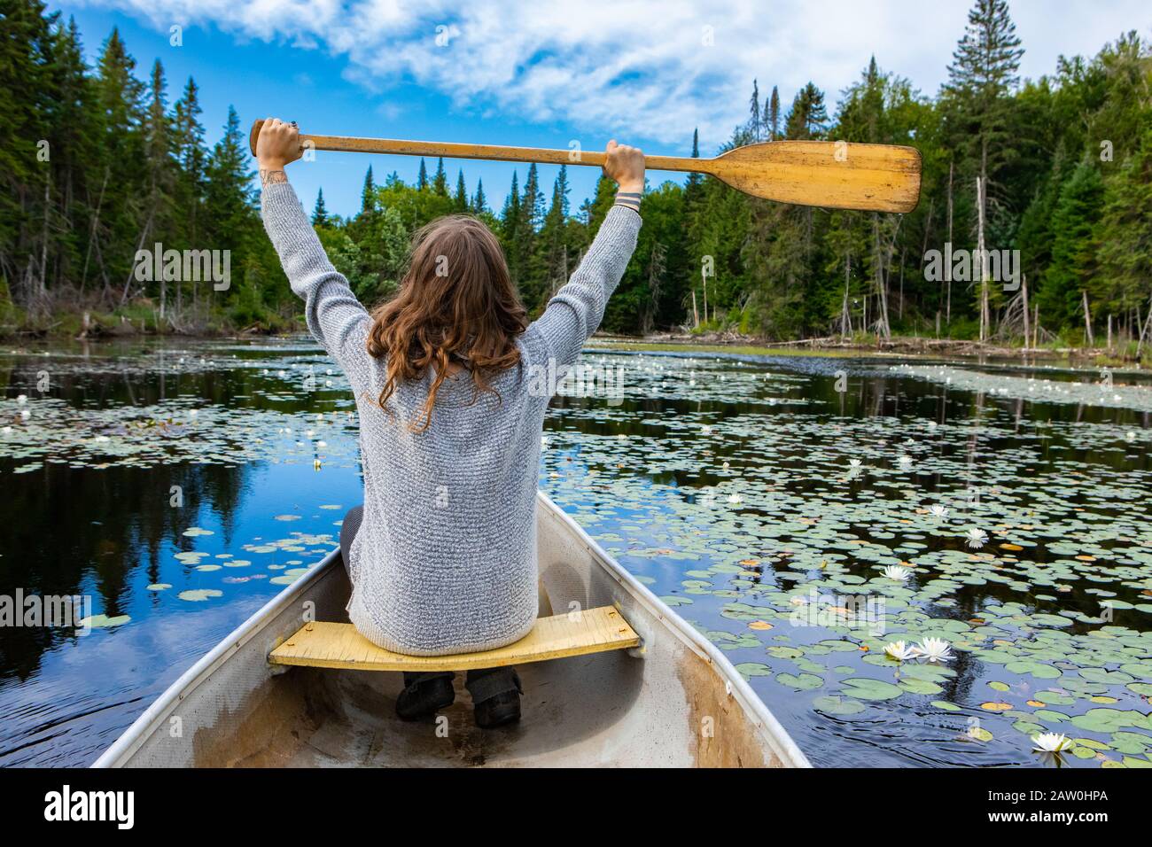 Vue arrière des jeunes touristes se sont élevés en paddle haut tout en étant assis en canoë dans le lac avec des nénuphars. Pendant le voyage dans le nord du Québec au Canada Banque D'Images