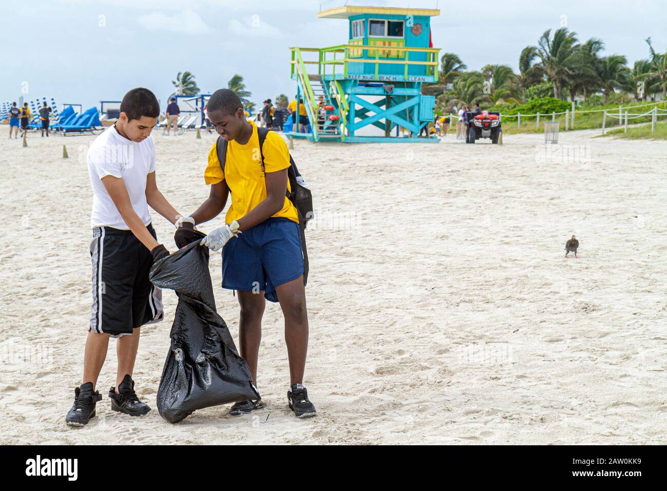 Miami Beach Florida,Coastal Cleanup Day,bénévoles bénévoles bénévoles travailleurs du travail,travail d'équipe travaillant ensemble pour aider à prêter,aider l Banque D'Images