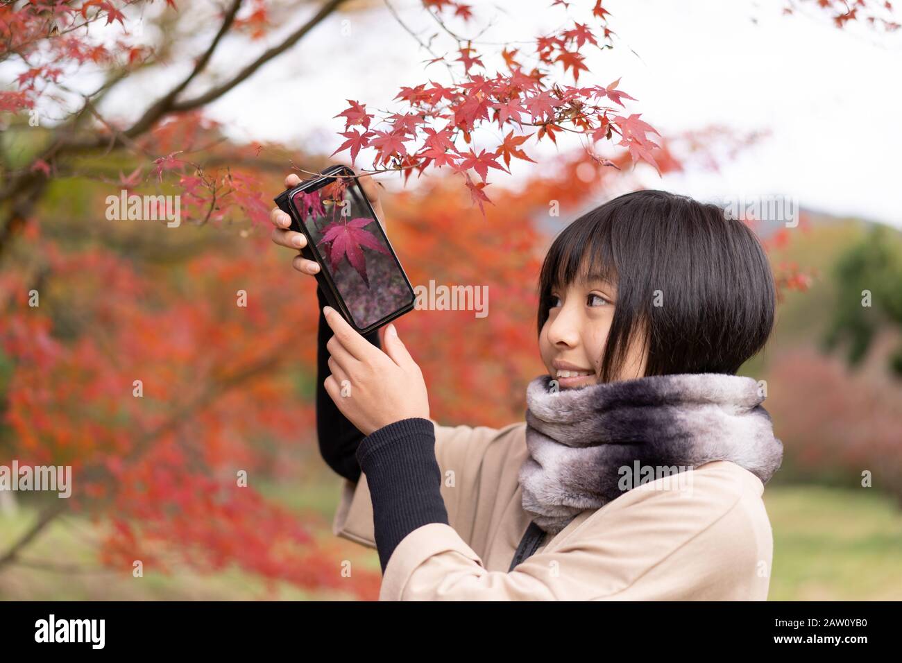 Fille avec feuillage d'automne Banque D'Images