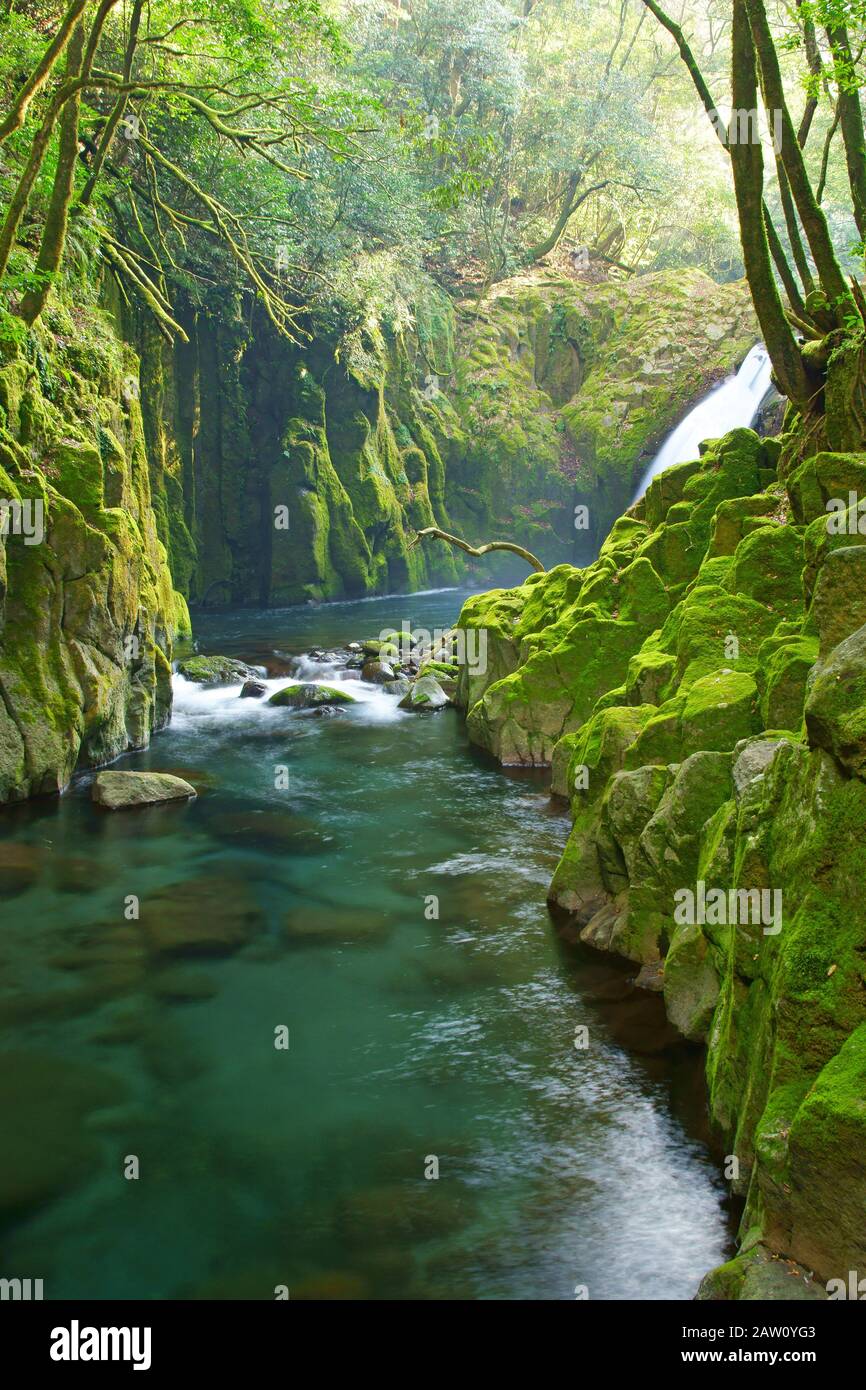 Gorge De Kikuchi En Hiver Banque D'Images