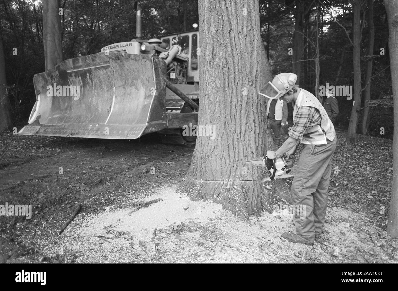 Abattage Forest Amelisweerd commence après avoir quitté la coupe d'un grand arbre Date: 24 septembre 1982 lieu: Utrecht (Prov) mots clés: Arbres, forêt, tronçonneuses, pelles Banque D'Images