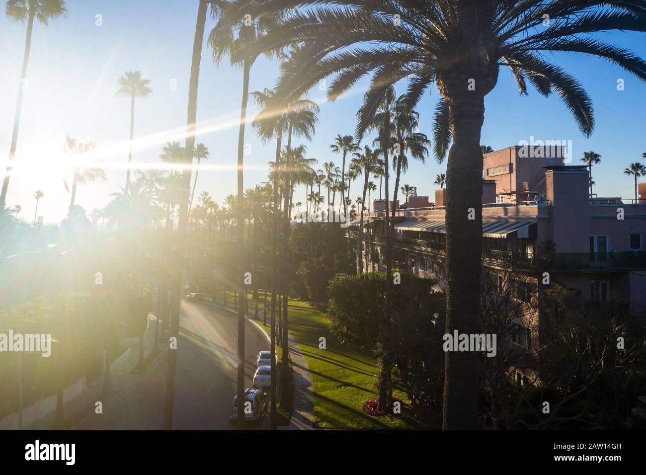 Vue imprenable sur le quartier de Beverly Hills, le Beverly Hills Hotel et le Sunset Boulevard entouré de palmiers à Los Angeles, Californie. Banque D'Images