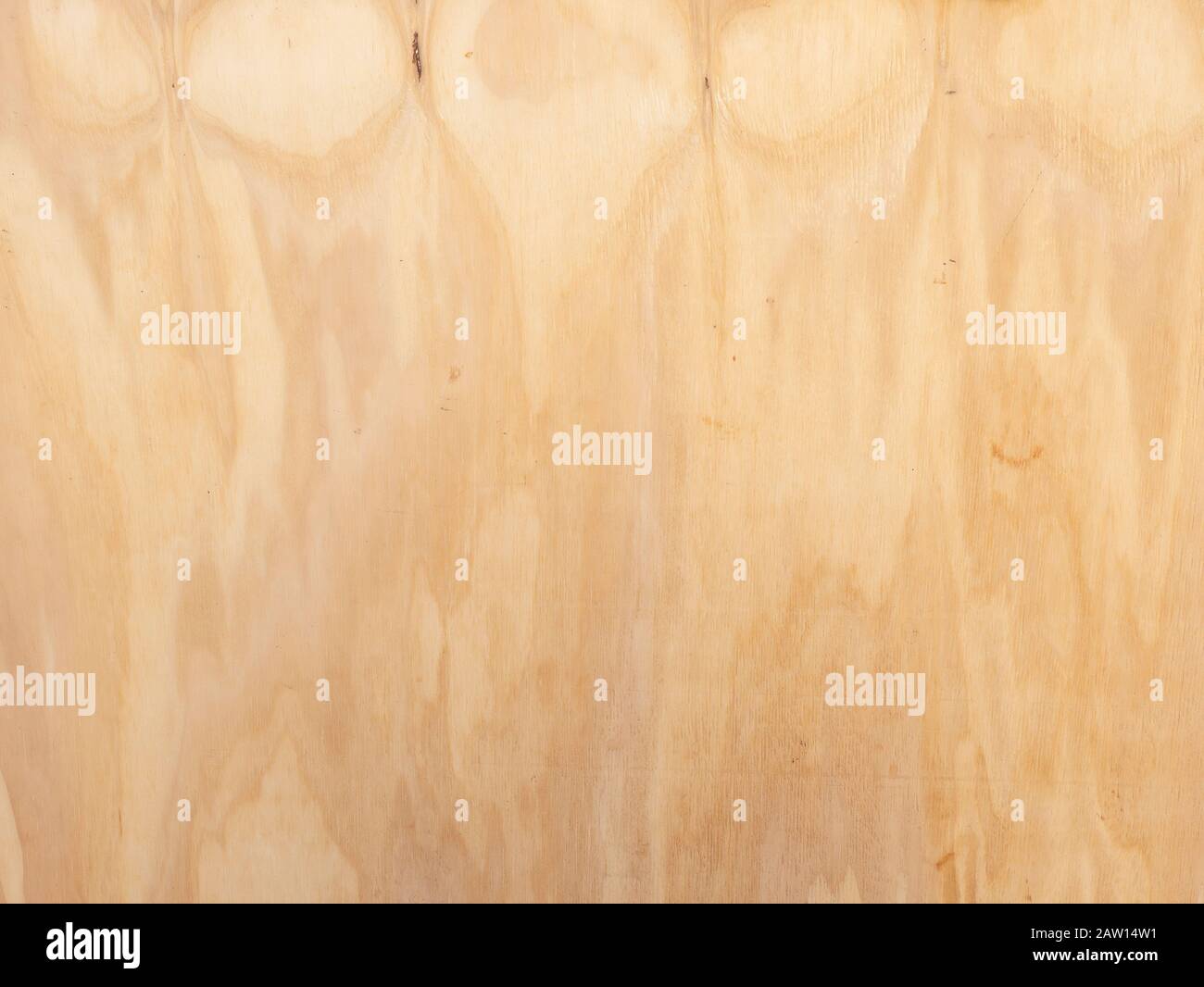 arrière-plan créé à partir d'une planche en contreplaqué marron clair striée Banque D'Images