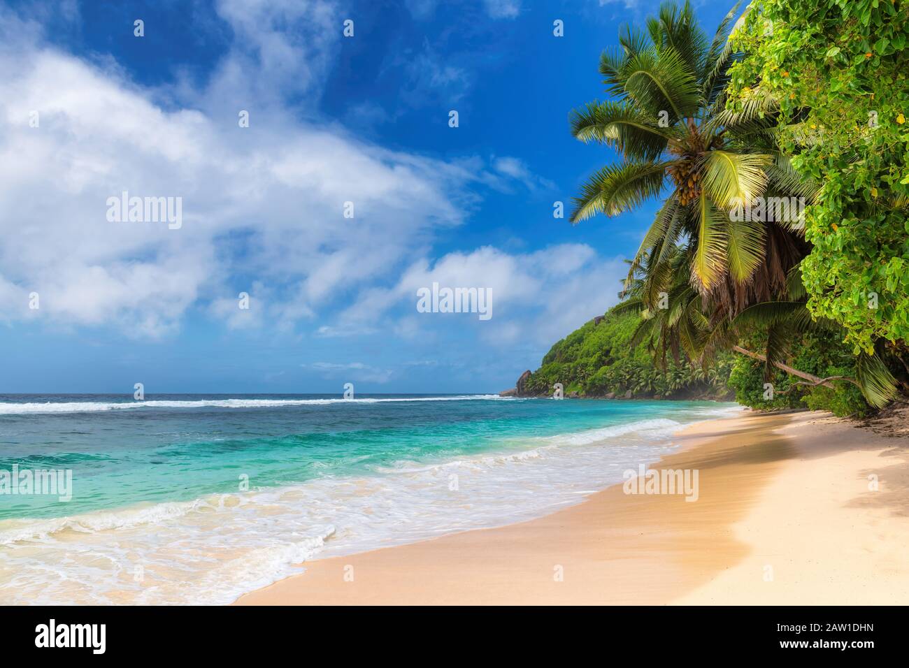 Tropical Paradise Sunny Beach Banque D'Images