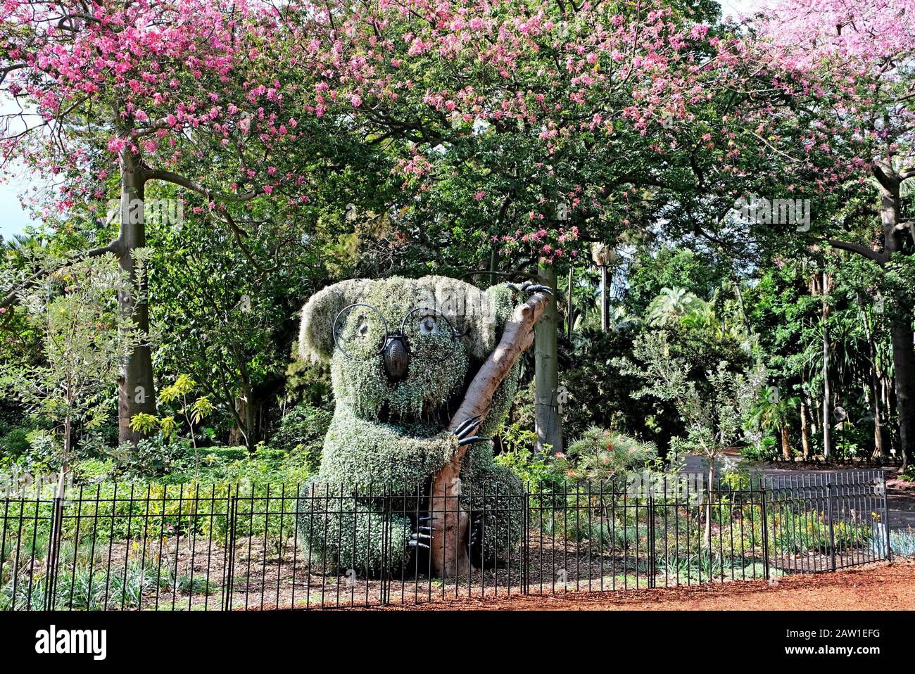 Statue de l'usine de Koala dans les jardins botaniques royaux de Sydney Banque D'Images