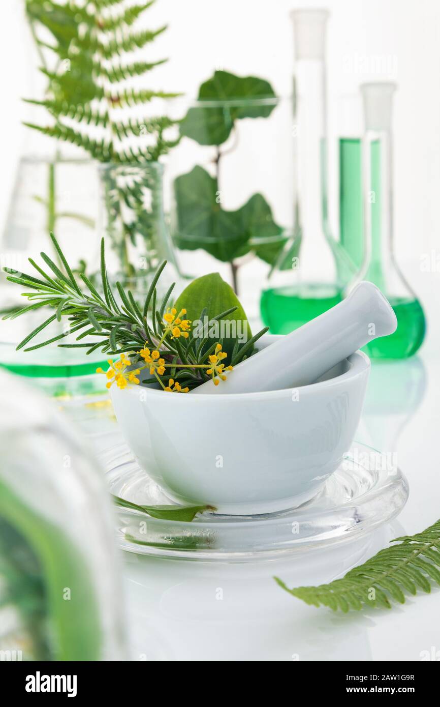 Mortier et pilon avec des herbes sur une table de laboratoire. Banque D'Images
