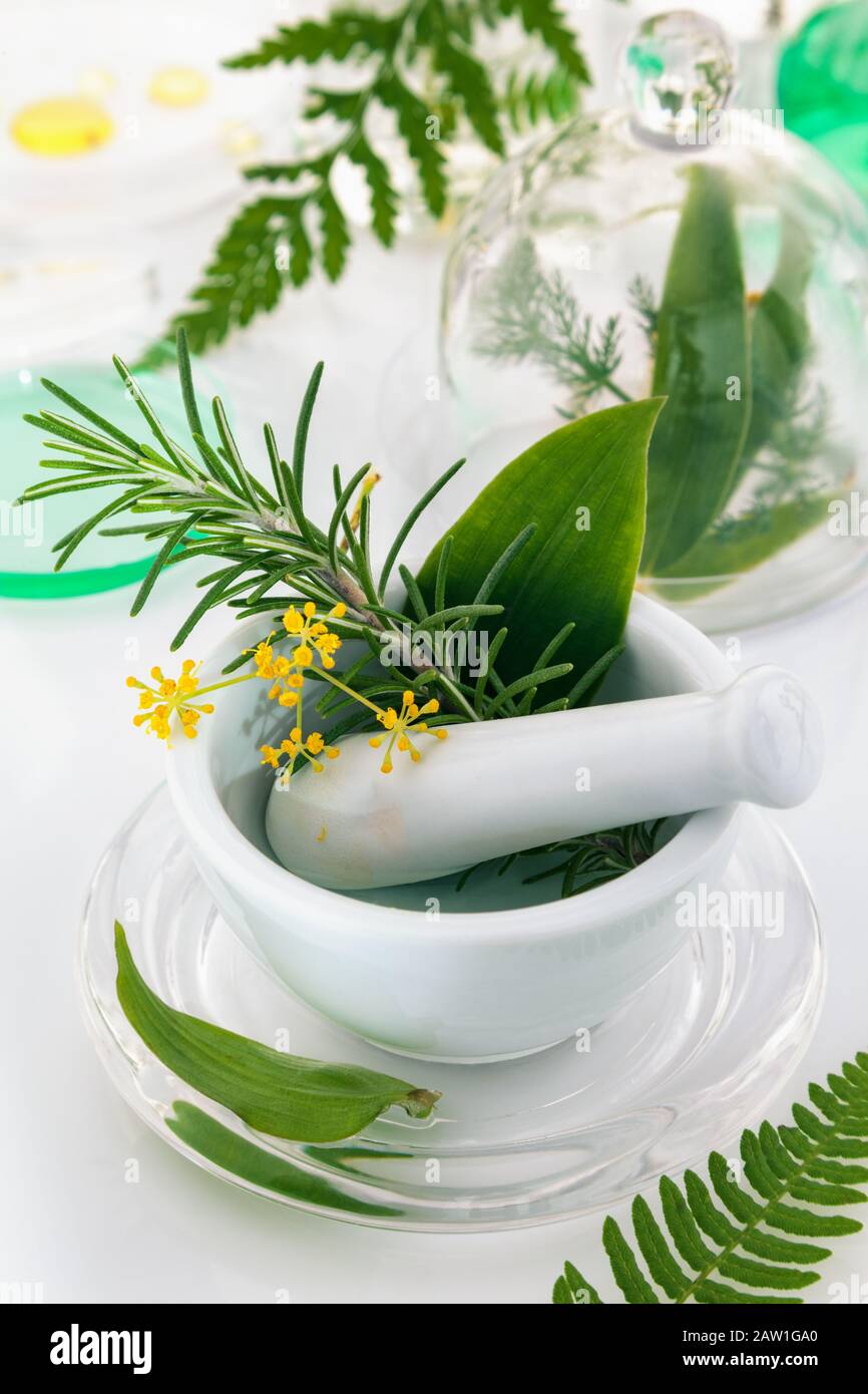 Mortier et pilon avec des herbes sur une table de laboratoire. Banque D'Images