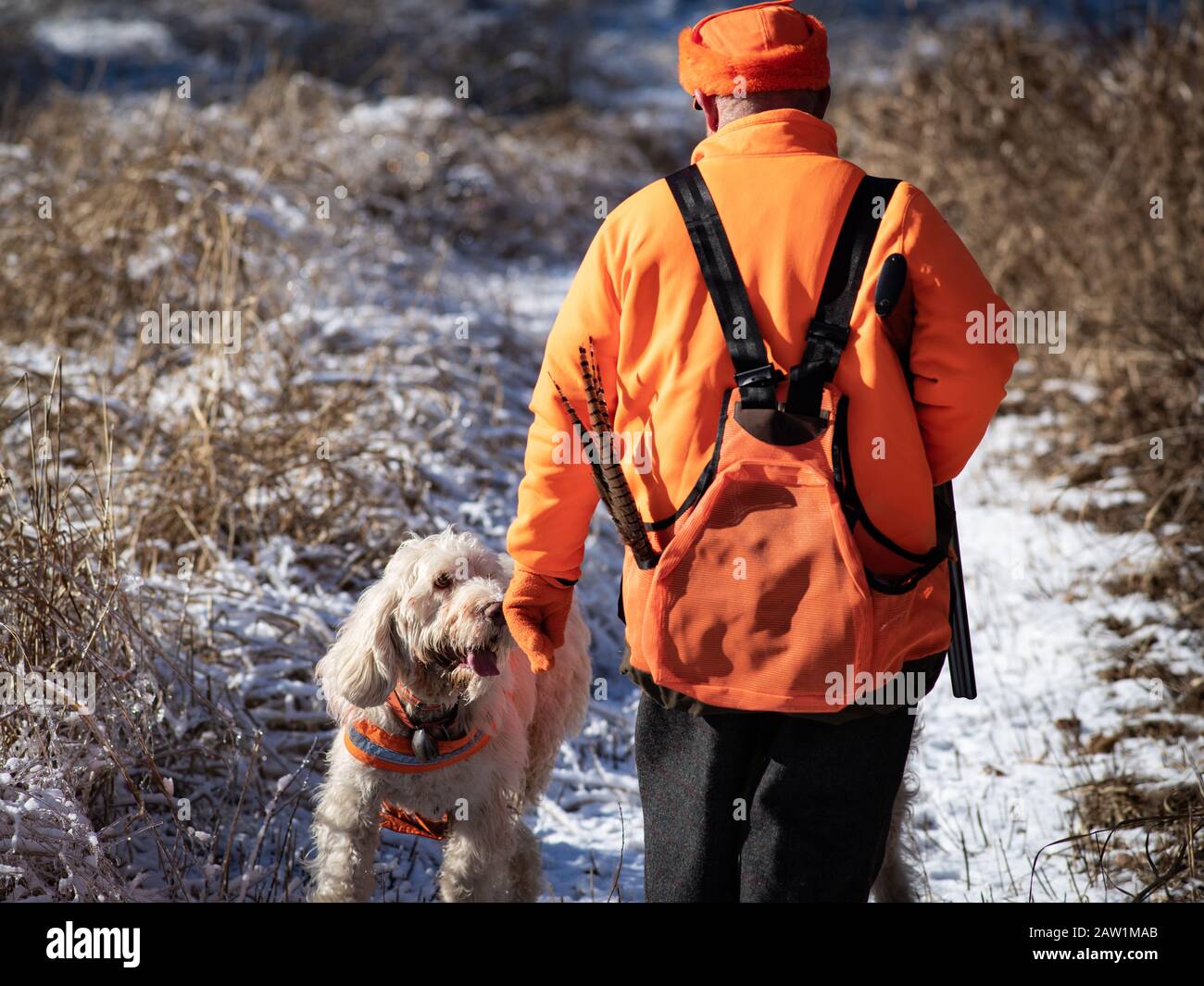 Un Chasseur D Oiseaux Salue Son Chien Italien De Chasse Aux