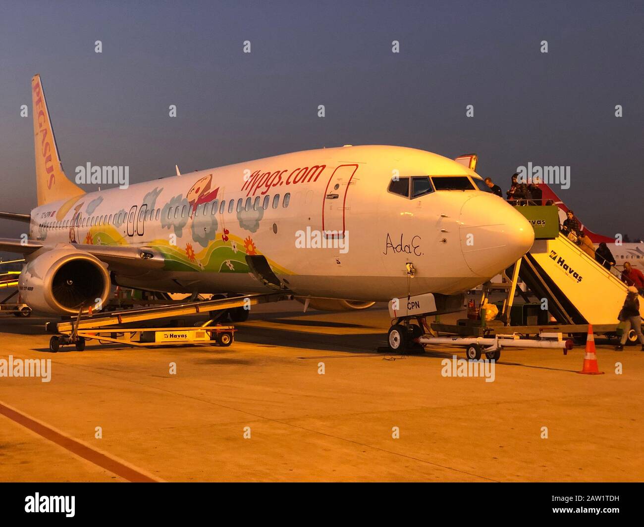 Aéroport D'Adana, Turquie - Janvier 2020. Pegasus Airlines Boeing 737-800 avec une meneur de dessin enfant à l'aérodrome. Banque D'Images