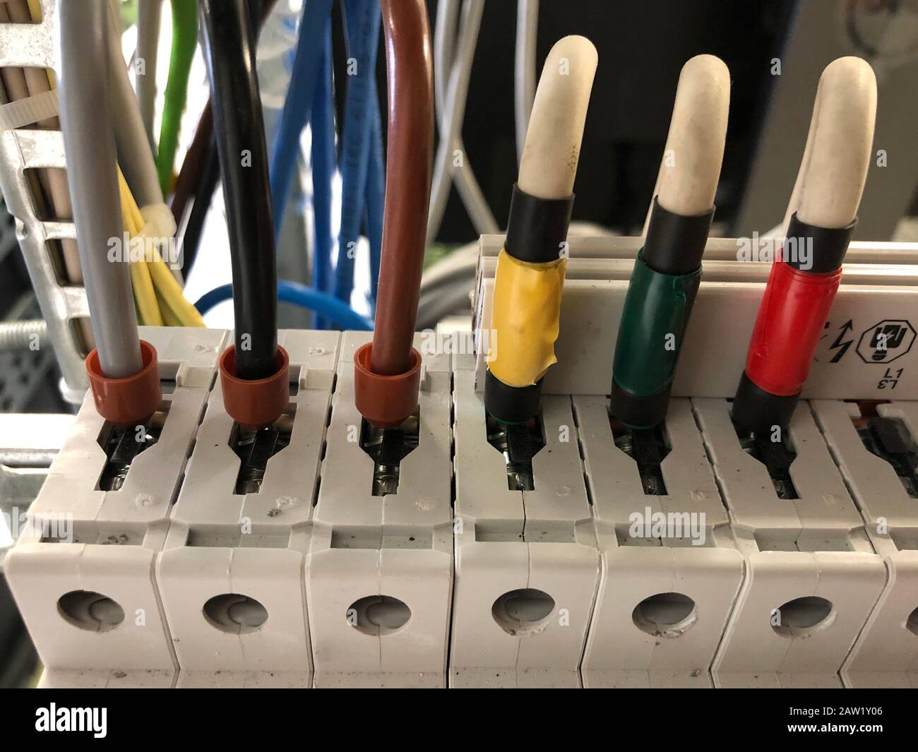 câbles réseau connectés au serveur du centre de données. Banque D'Images