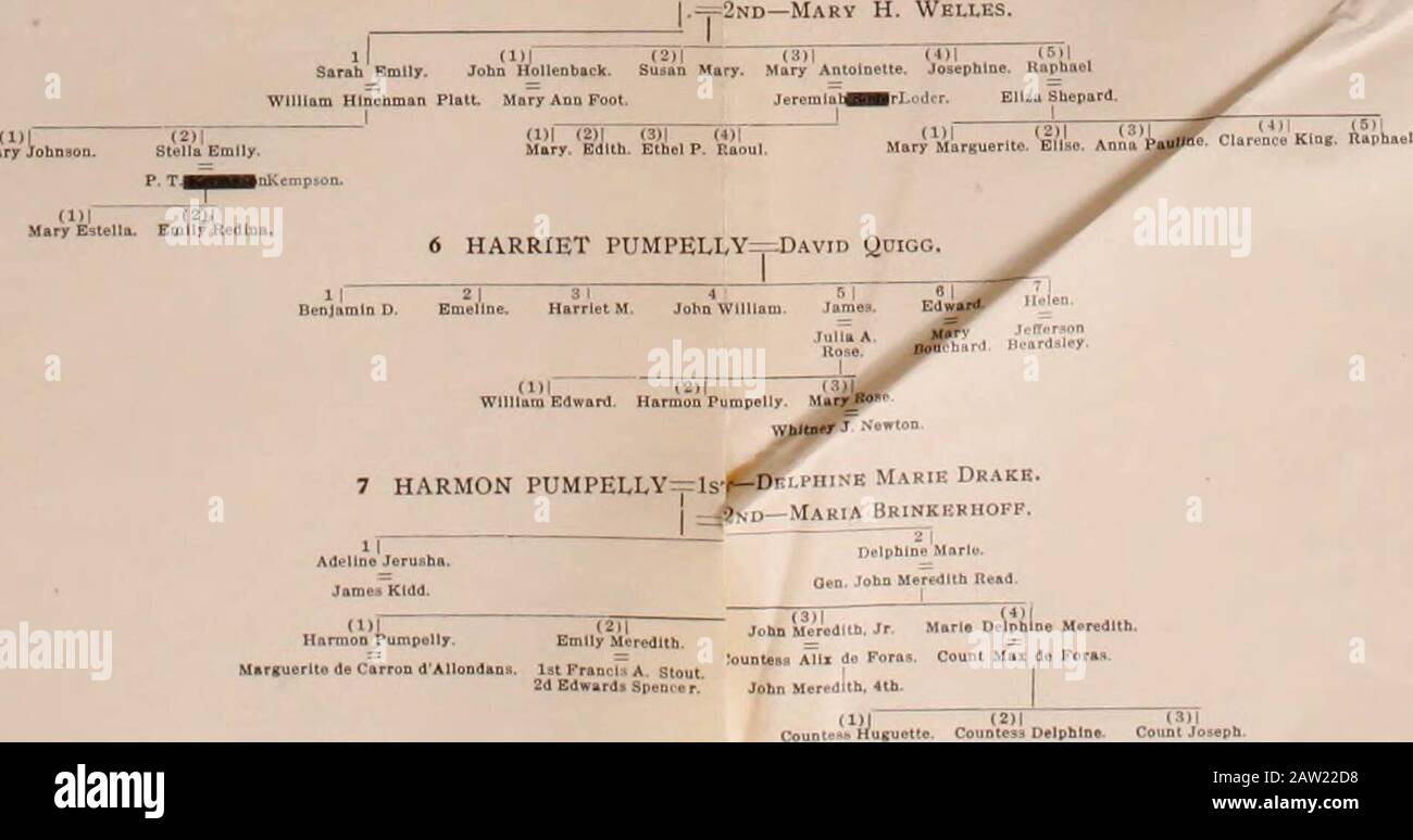 Rossiana ; papiers et documents relatifs à l'histoire et de généalogie de l'ancienne et noble maison de Ross, de Ross-shire, en Écosse, et sa descente sous forme l'ancienne comtes de Ross, de concert avec la descente de l'ancienne et historique de la famille lire, de Rede de creux-fin, Reade de Barton, Berks, cour et lire du Delaware. Certains aussi compte des familles apparentées Banque D'Images