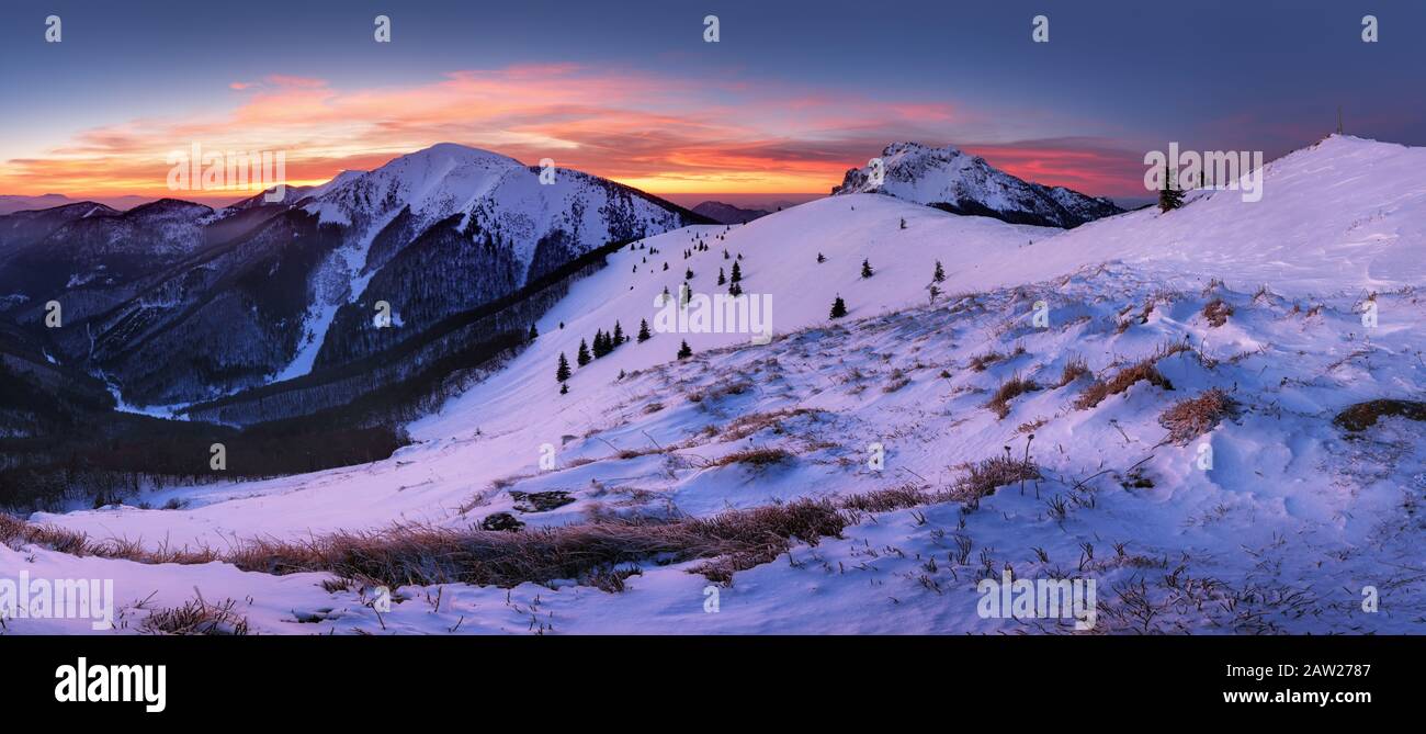 Paysage de montagne gelé d'hiver en Slovaquie, près de Terchova Banque D'Images