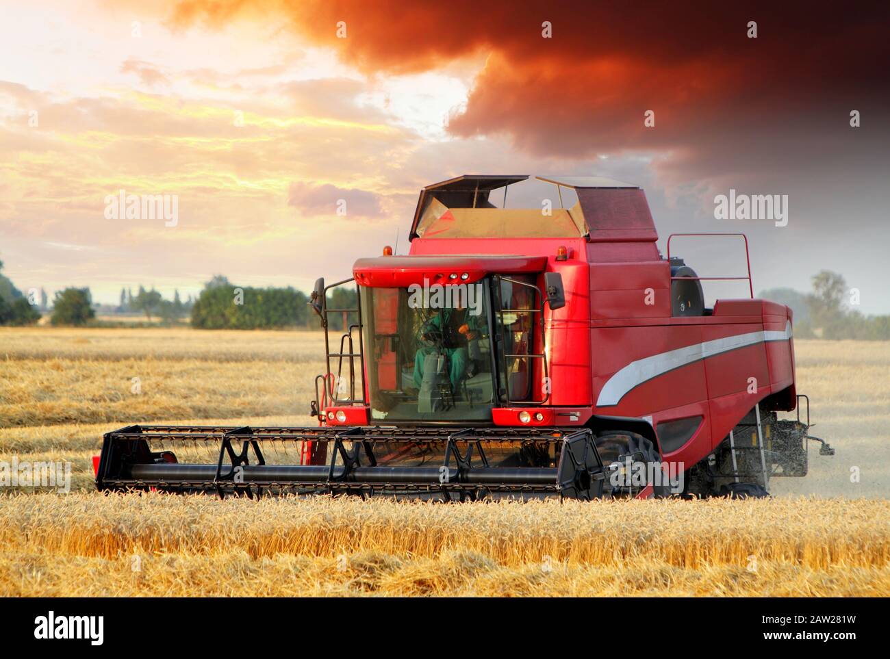 Champ de blé avec machine ensileuse au coucher du soleil Banque D'Images