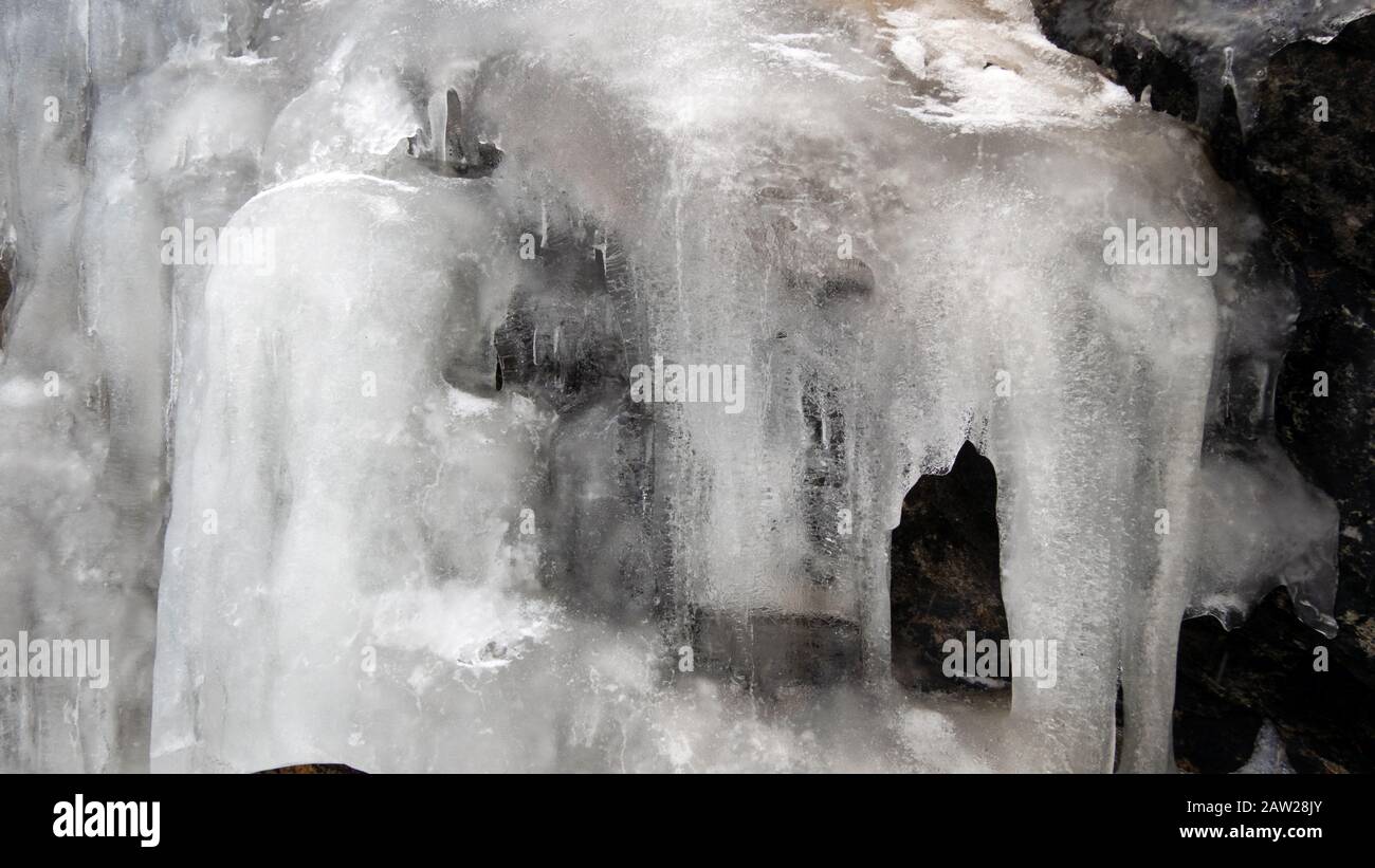 Gros plan des icicules dans la forêt Banque D'Images