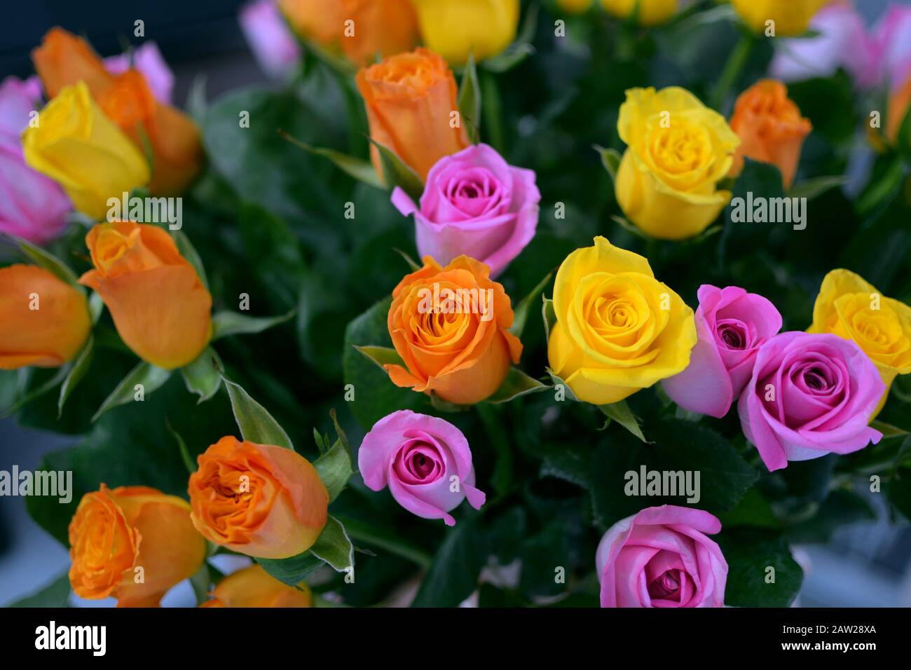 bouquet de roses orange, rose et jaune Banque D'Images