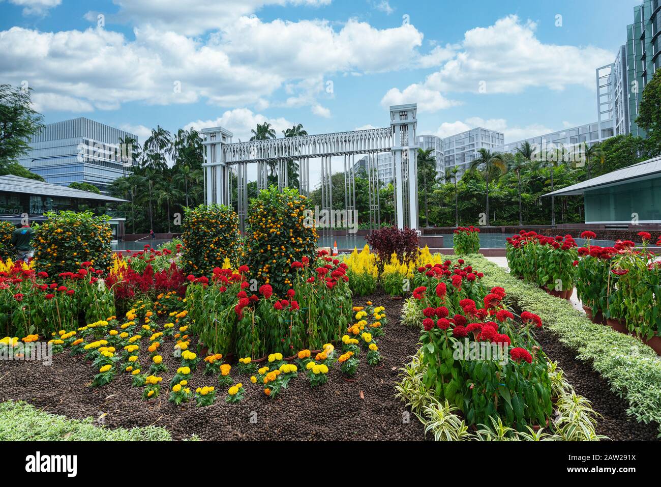 Singapour. Janvier 2020. Les parterres de fleurs dans le parc Istana Banque D'Images