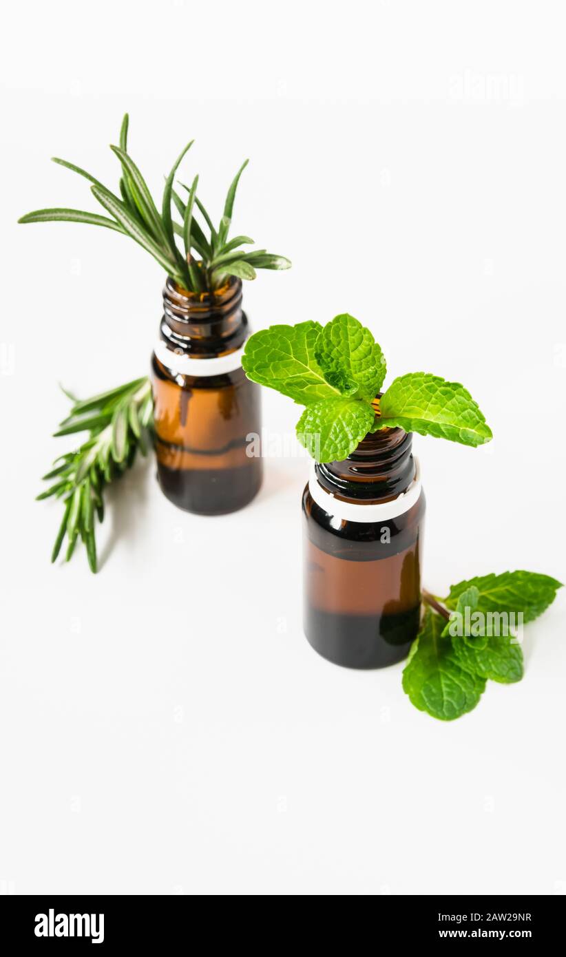 bouteilles en verre avec huiles essentielles et feuilles de romarin et de menthe sur fond blanc, espace libre pour le texte Banque D'Images