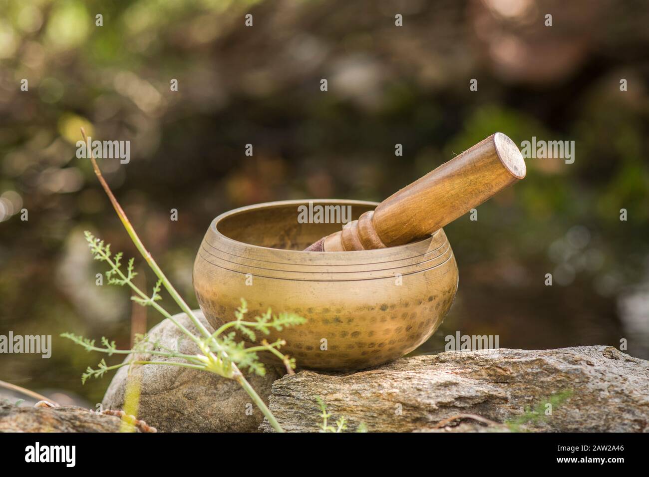 Bol de chant, instrument bouddhiste utilisé dans la thérapie sonore, bol De Chant tibétain. À côté de l'étang. Banque D'Images