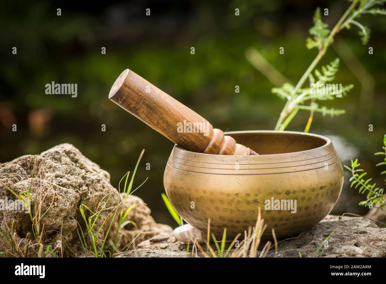 Bol de chant, instrument bouddhiste utilisé dans la thérapie sonore, bol De Chant tibétain. À côté de l'étang. Banque D'Images