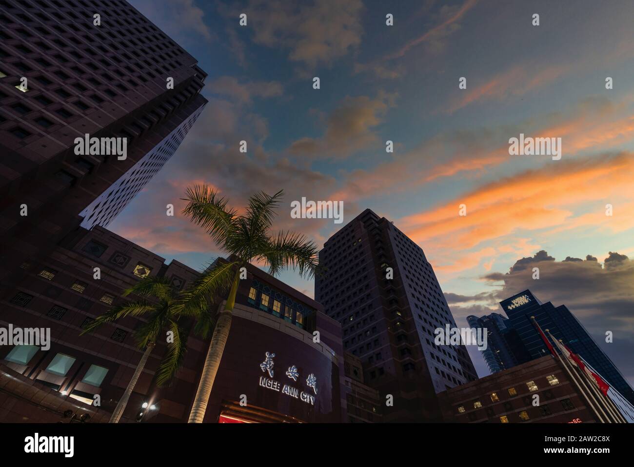 Singapour. Janvier 2020. Vue panoramique sur le centre commercial Ngee Ann City au coucher du soleil Banque D'Images