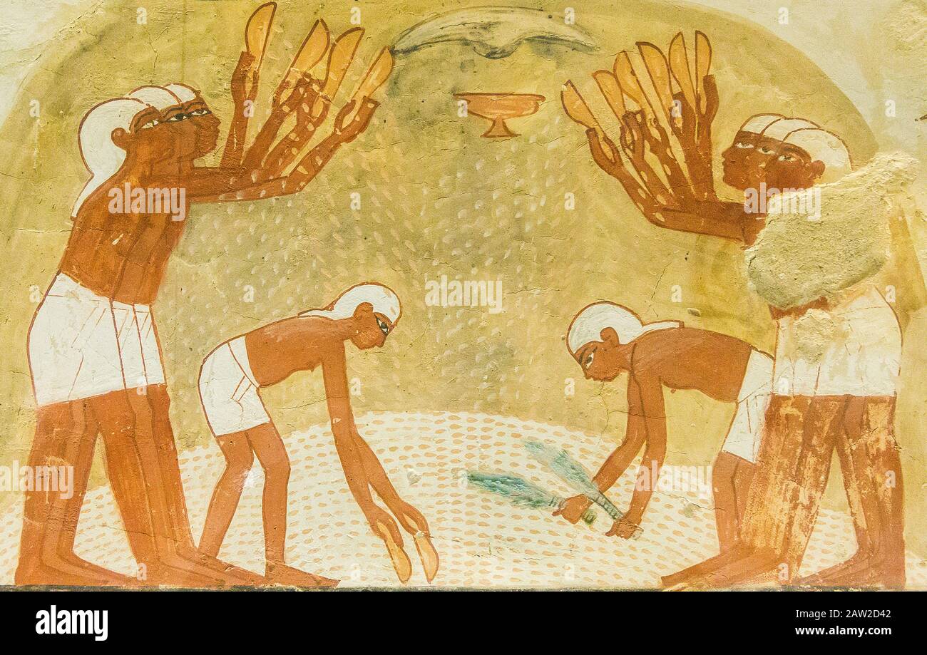 Patrimoine mondial de l'UNESCO, Thèbes en Egypte, Vallée des Nobles, tombe de Nakht. Séparation du grain et de la menue paille, avec un mouvement assez graphique. Banque D'Images
