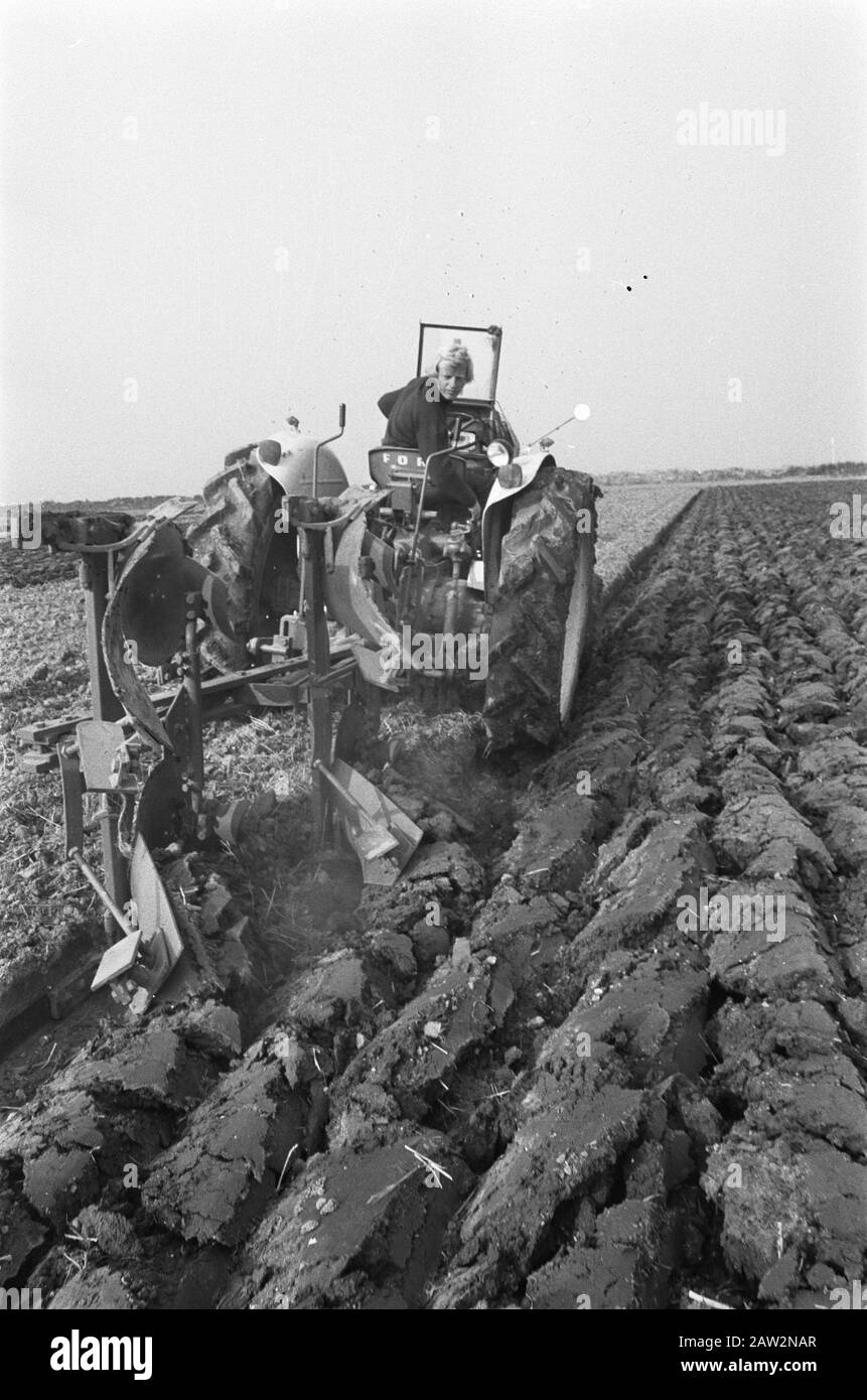Championnats d'équipe à Flevopelder, l'un des participants action Date: 11 octobre 1972 lieu: Flevoland mots clés: Labour Banque D'Images
