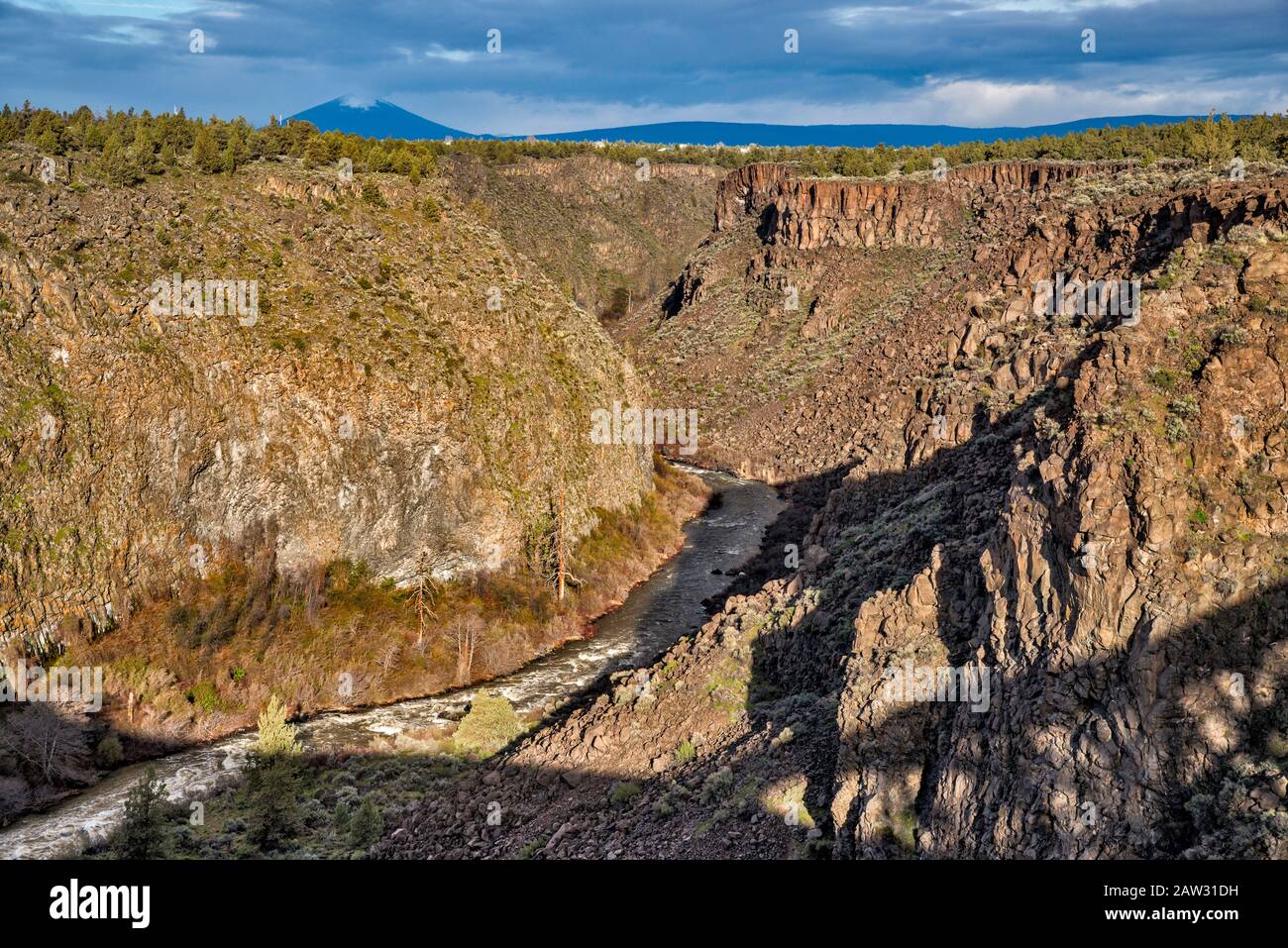 Gorge De La Rivière Crooked, Point De Vue Panoramique De L'État Peter Skene Ogden, Ombre Du Pont Du Chemin De Fer Du Tronc De L'Oregon, Près De Terrebonne, Oregon, États-Unis Banque D'Images