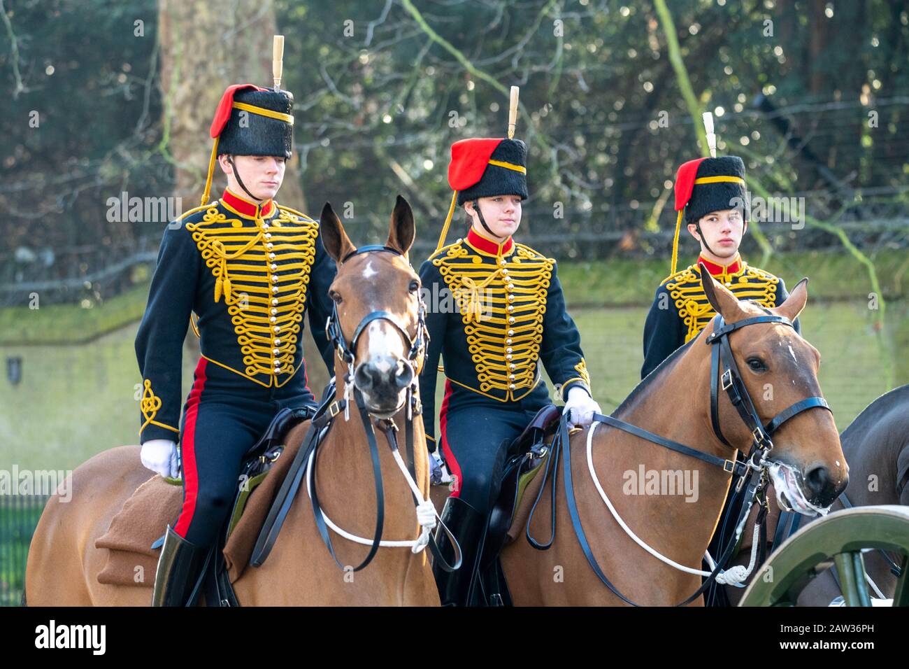 Londres, Royaume-Uni. 6 février 2020. L'Artillerie du roi Troop Royal Horse, portant un uniforme vestimentaire parfaitement présenté, offre une vue colorée lorsqu'ils font monter leurs chevaux et leurs voitures d'armes à feu au parc vert pour mettre en scène une salade royale d'armes 41 pour marquer le 68ème anniversaire de l'adhésion de sa Majesté La Reine. Crédit : Ian Davidson/Alay Live News Banque D'Images