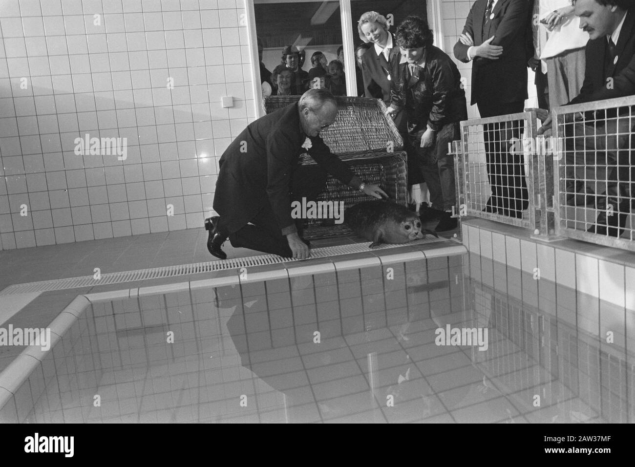 Prince Bernhard a ouvert un nouveau centre de réhabilitation de phoques à Pieterburen; Prince Bernhard lures scelle le bassin Date: 8 décembre 1986 lieu: Pieterburen mots clés: Chars, ouvertures, abris, princes Nom De La Personne: Bernhard (prince Pays-Bas), Hart, Lenie 't Banque D'Images