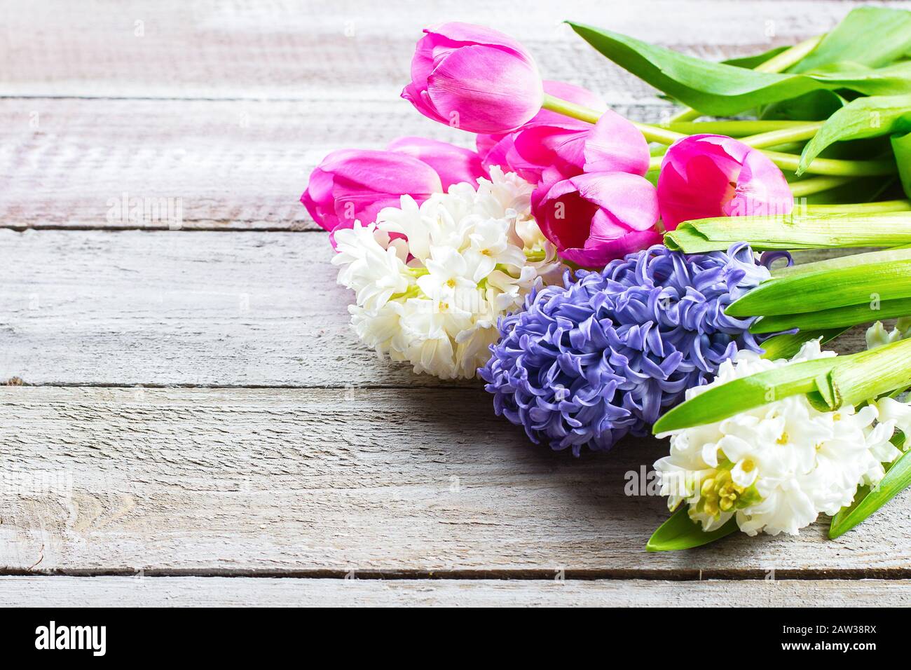 Carte D Anniversaire Avec Des Fleurs De Jacinthe Banque D Image Et Photos Alamy Carte D Anniversaire Avec Des Fleurs De Jacinthe Banque D Image Et Photos Alamy