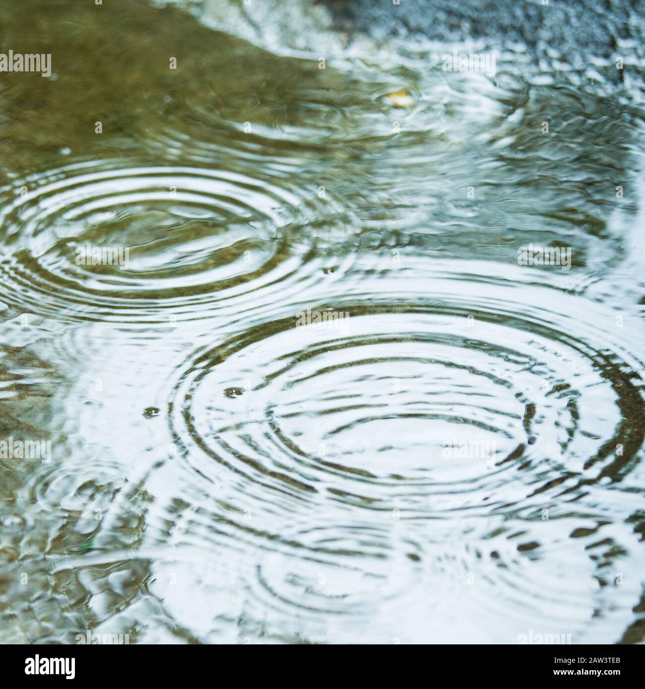 Gouttes de pluie dans une flaque d'ondulation Banque D'Images