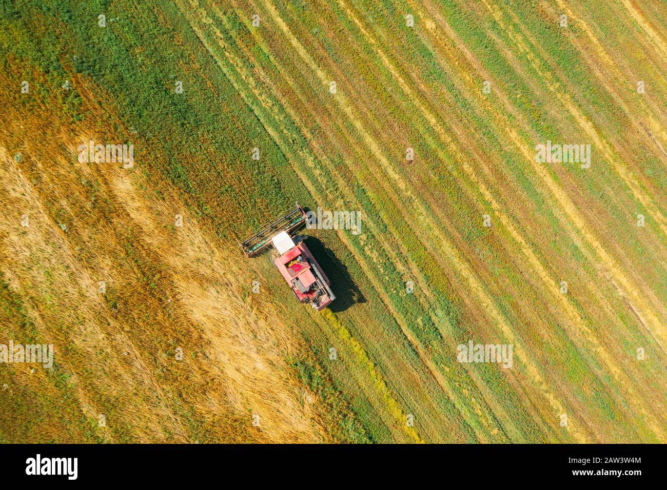 Vue aérienne du paysage rural. Travaillant dans le secteur des moissonneuses, collecte des graines. La récolte de blé à la fin de l'été. Machine agricole Collectin Banque D'Images