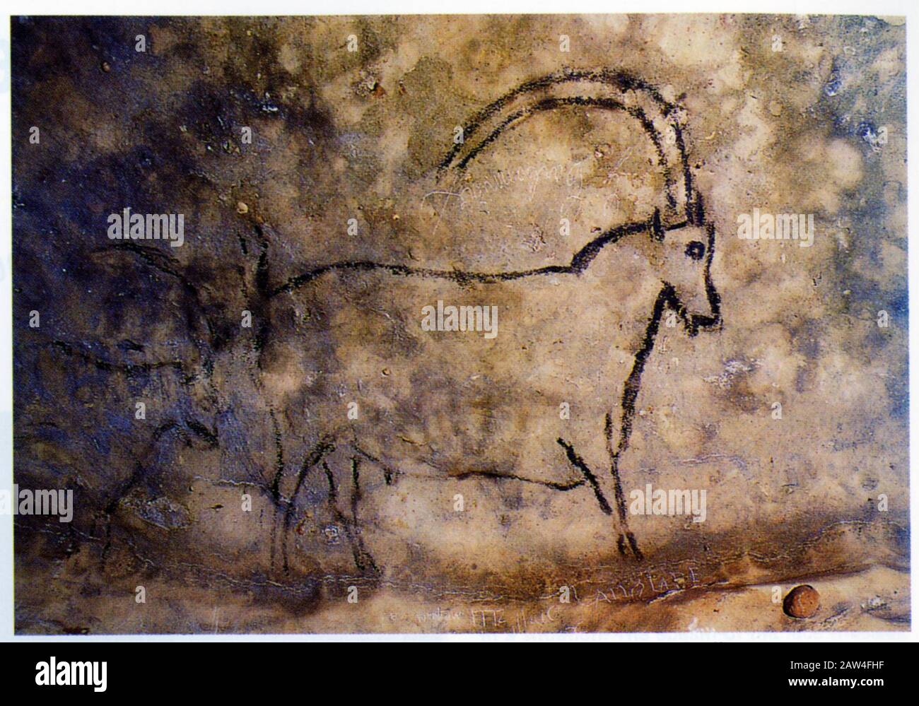Dessin d'un bouquetin dans la grotte de Rouffignac. Dessin d'un ibex dans la grotte de Rouffignac Banque D'Images