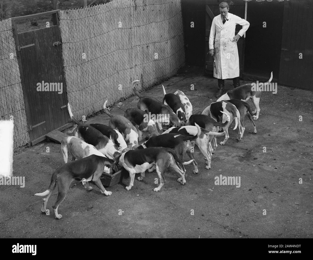 Royal Yacht Association Menke (Prince Bernhard Huntsman) Old Leusden Date : 27 Septembre 1949 Lieu : Leusden Mots Clés : Chasse, Chasseurs Maîtres Nom De La Personne : Bernhard, Prince Banque D'Images