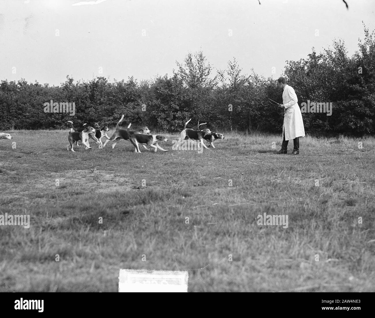 Royal Yacht Association Menke (Prince Bernhard Huntsman) Old Leusden Date : 27 Septembre 1949 Lieu : Leusden Mots Clés : Chasse, Chasseurs Maîtres Nom De La Personne : Bernhard, Prince Banque D'Images