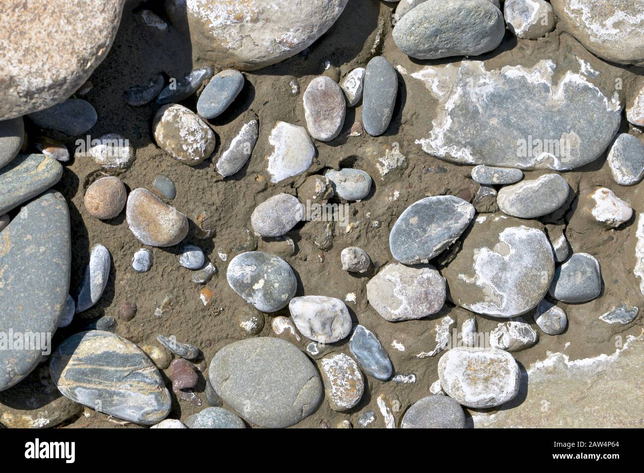 Différentes pierres sur le sable humide de rivière mélangé avec du limon. Banque D'Images