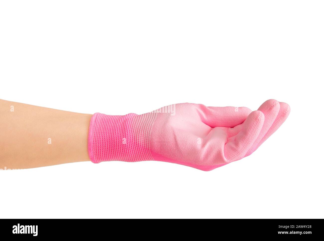 Femme gestuelle à la main et tenant quelque chose sur la paume de la main, portant des gants de jardinage en caoutchouc rose de travail de paume de textile. Isolé sur blanc avec spa Copy Banque D'Images