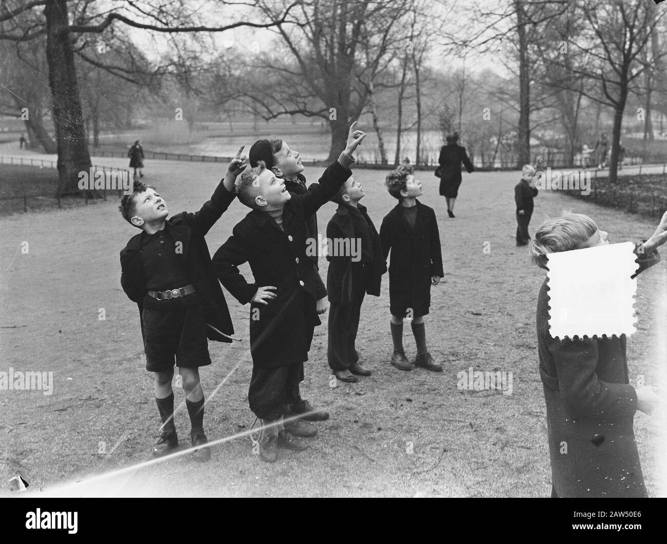 Hérons sur Frankendaal Date: 20 février 1952 mots clés: Hérons Personne Nom: Hérons Banque D'Images