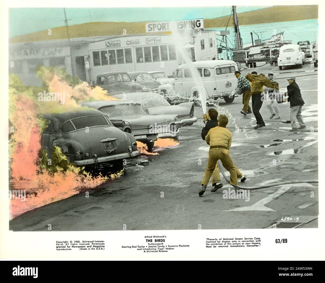 1963 , Etats-Unis : ALFRED HITCHCOCK ( 1899 - 1980 ) film LES OISEAUX ( Gli uccelli - 1963 ) pubblica Still , d'un roman de Daphne du Maurier ( 1953 ) Banque D'Images
